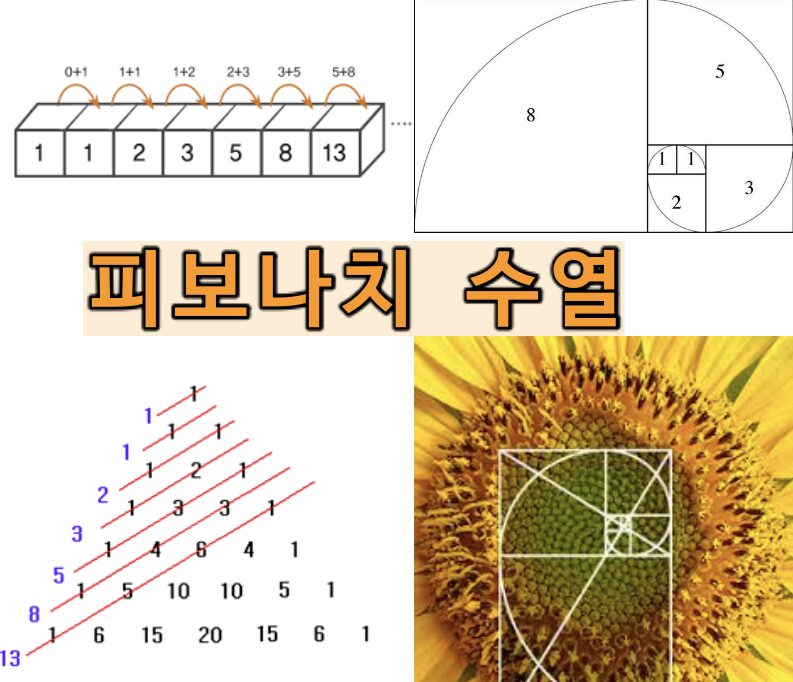 피보나치 되돌림