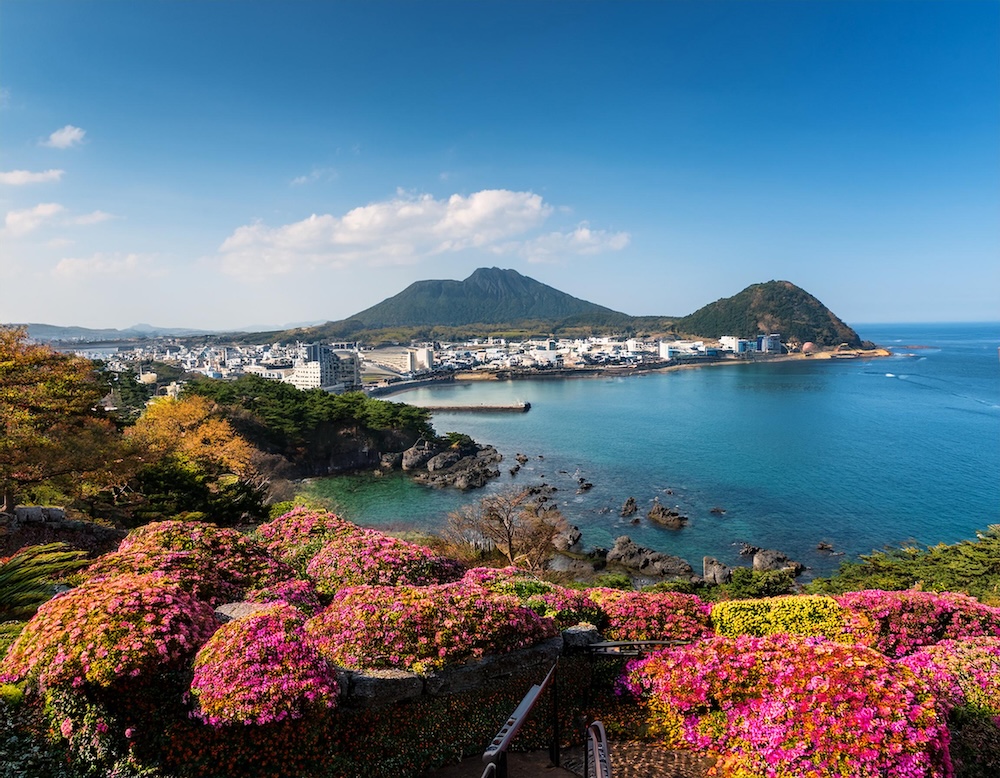 제주도 배편 여행