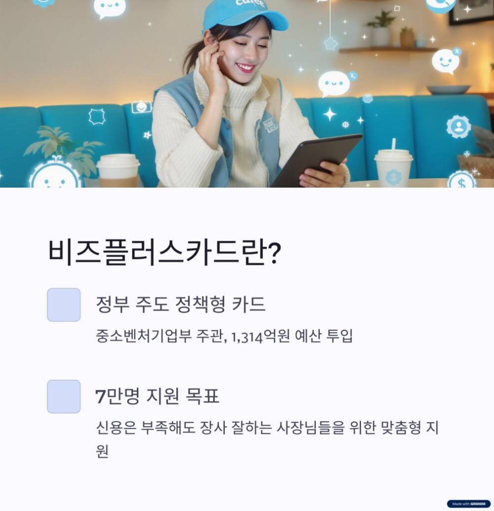 비즈플러스카드