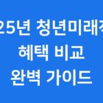 청년도약계좌 vs 청년미래적금