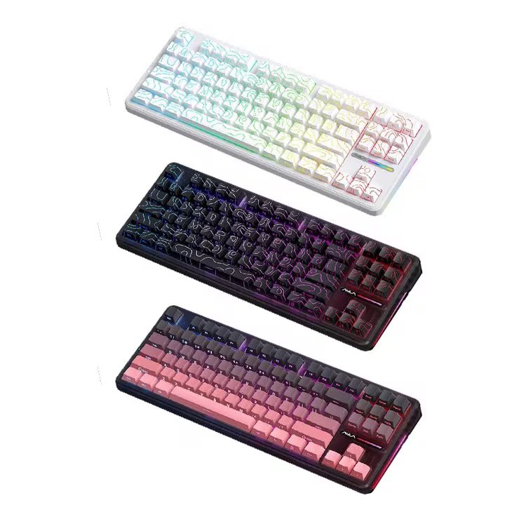 AULA 독거미 프로 라인업