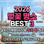 벚꽃 명소 베스트 3