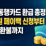 기후동행카드 환급